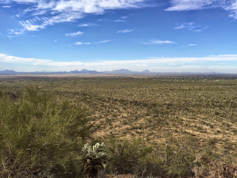 View down into the valley from Saguaro National Park