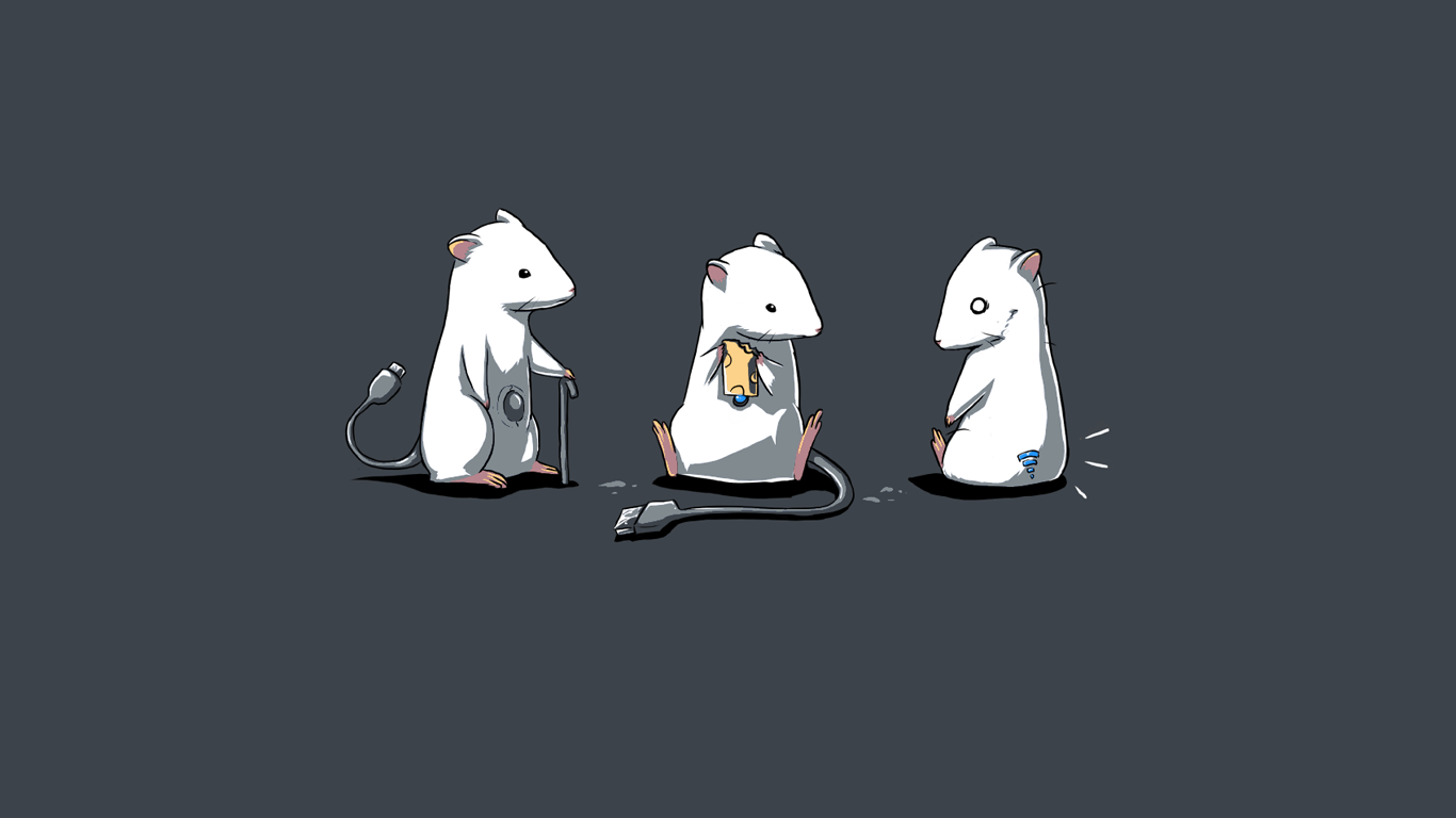 Wallpaper PNG Wallpaper PNG