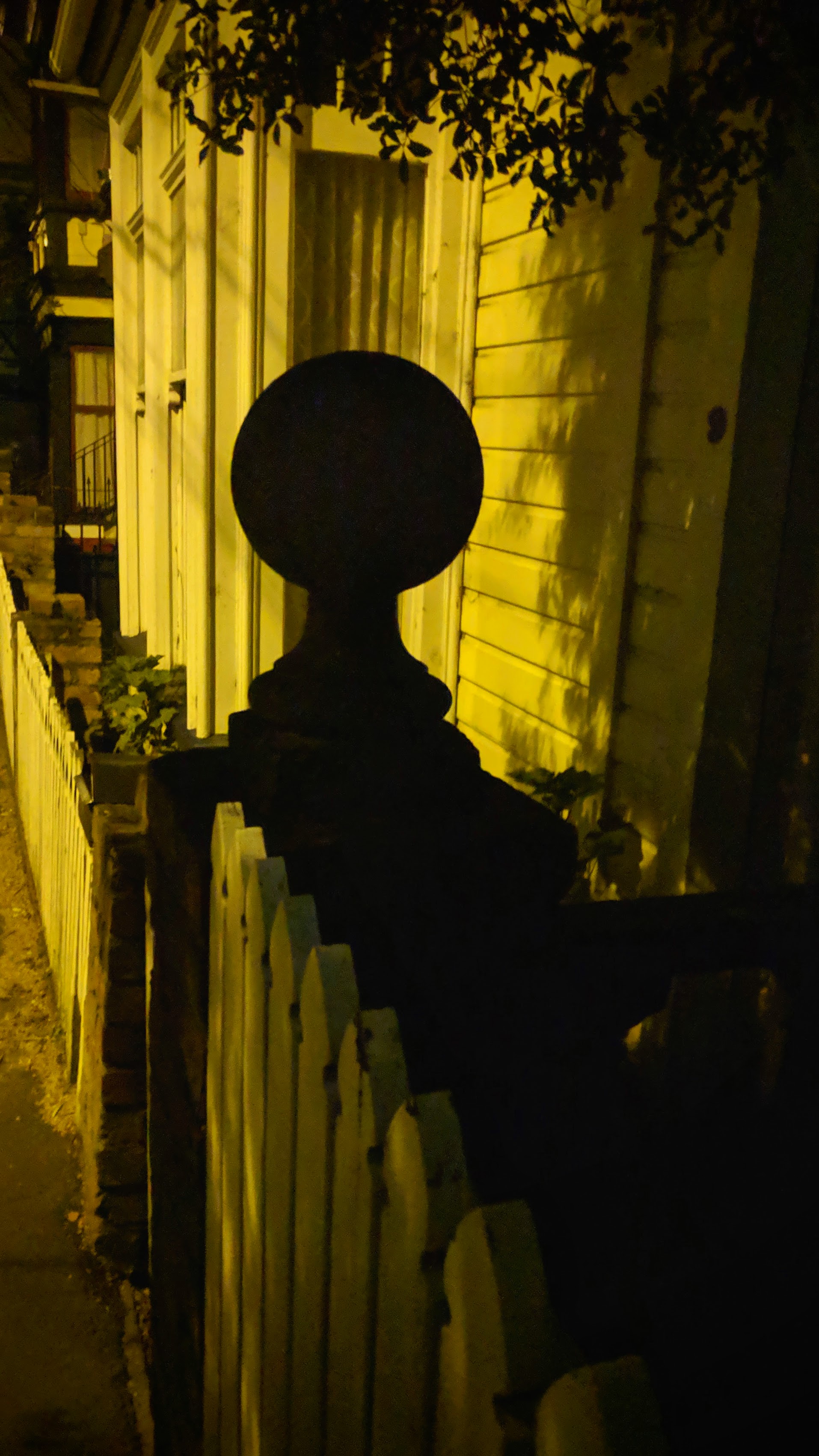 Yellow street light with house shadows