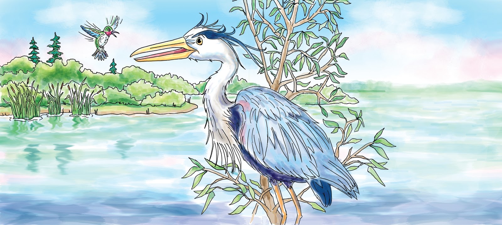 lisasmasterpieces Why Do Hummingbirds Drink Nectar?