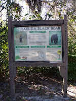 En el Big Cypress Bend En el Big Cypress Bend