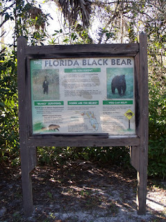 En el Big Cypress Bend En el Big Cypress Bend
