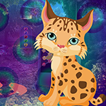 Games4King Kitten Escape Walkthrough