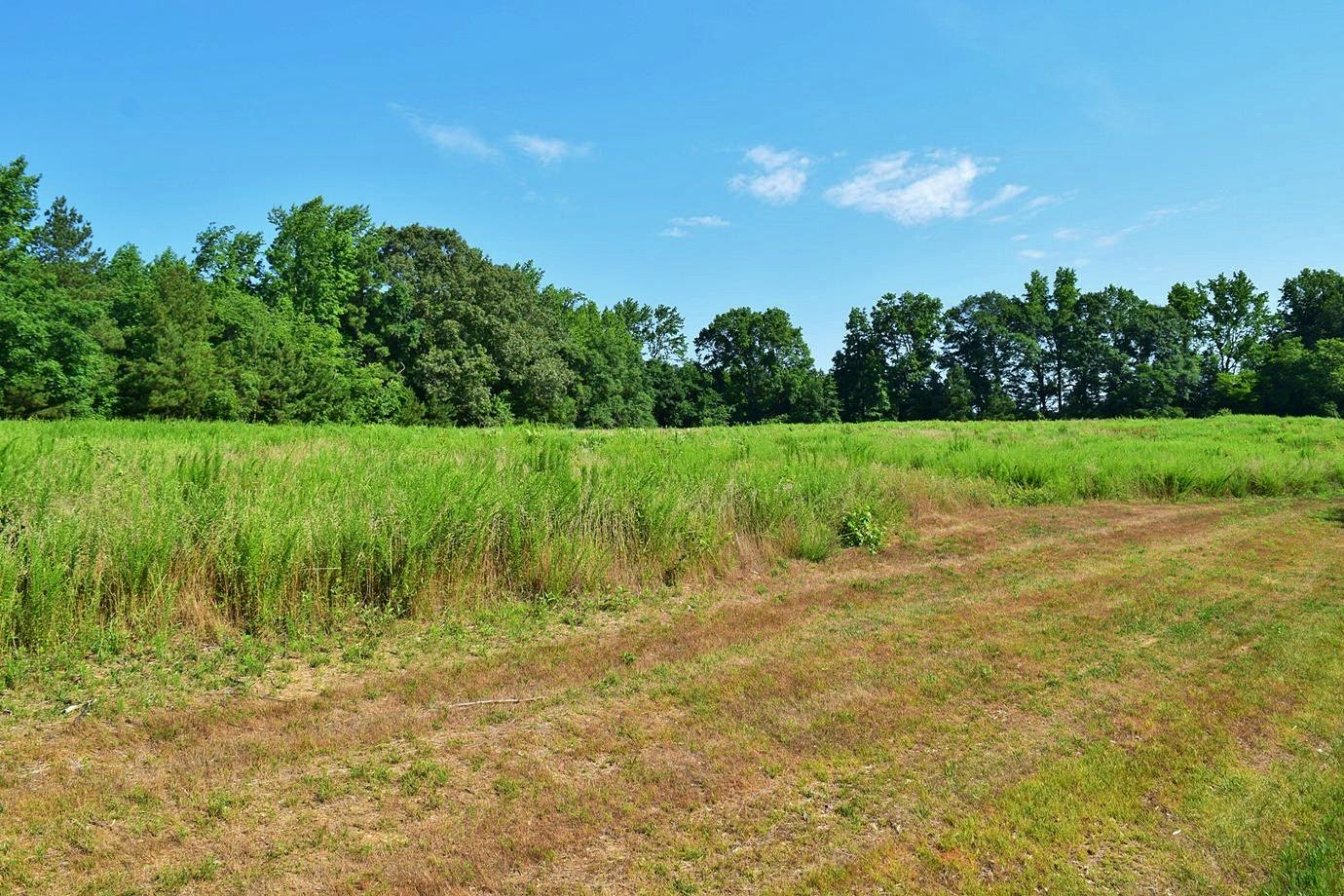 Waterfall Hero Hikes Turnipseed Nature Preserve
