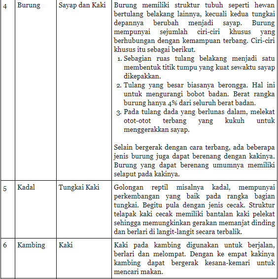  Burung  Nama  Organ  Gerak  Dan  Fungsinya  sominhomlop