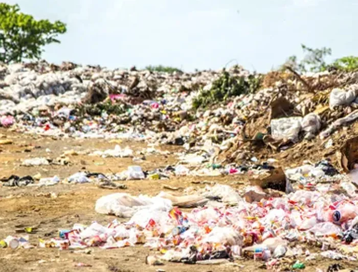 Pune, News, National, Woman, House, Waste Dumb, Woman throws away bag containing Rs 3 lakh jewellery during cleaning