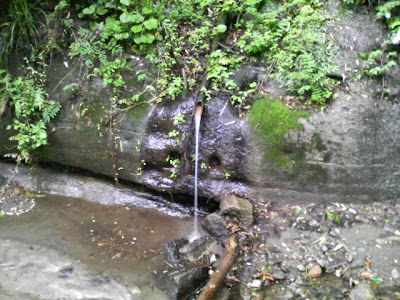 ������������