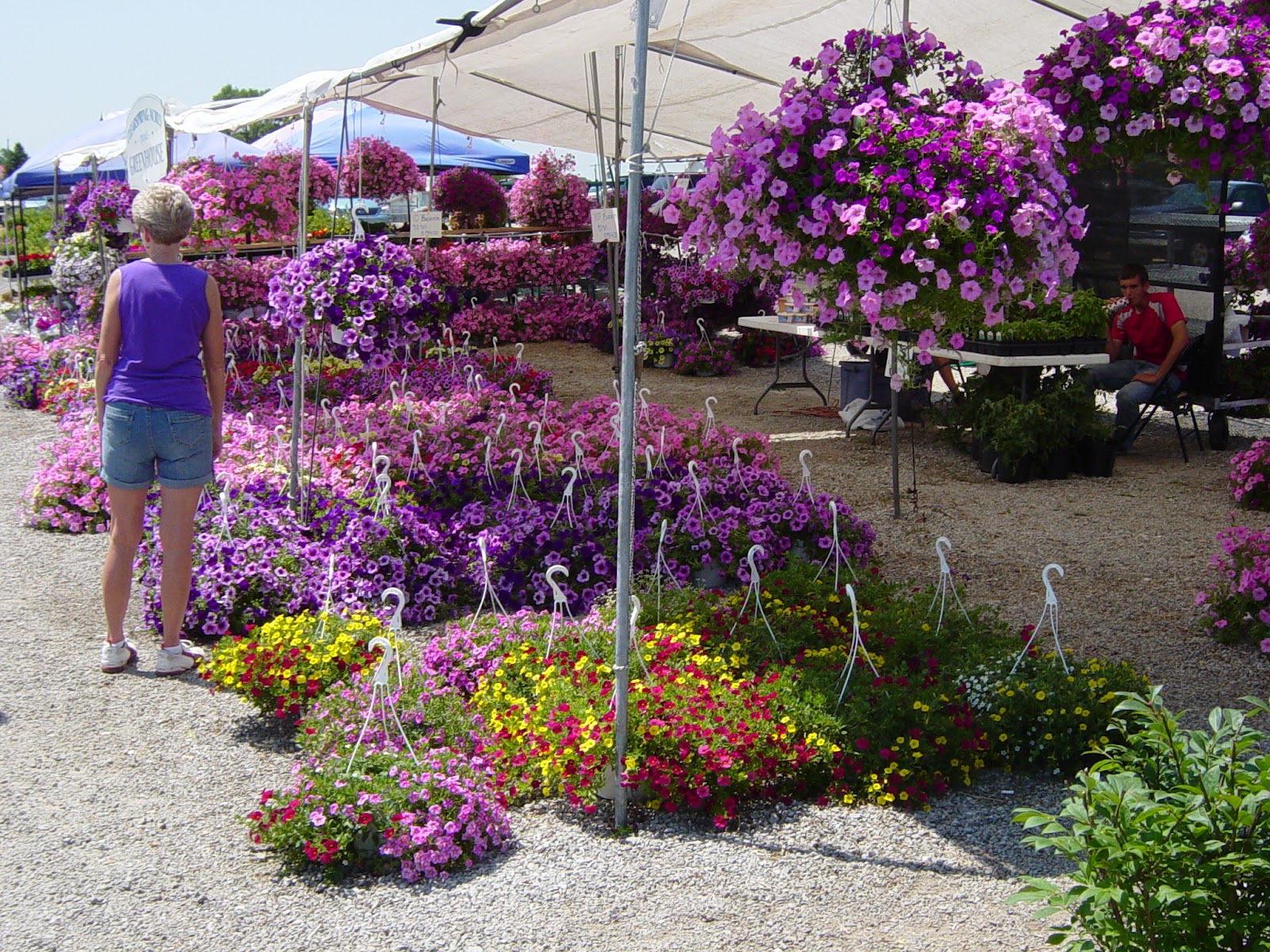 SheJunks Shipshewana, Indiana.......