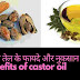 सेहत के लिए अरंडी तेल(castor oil) के फायदे और नुकसान 