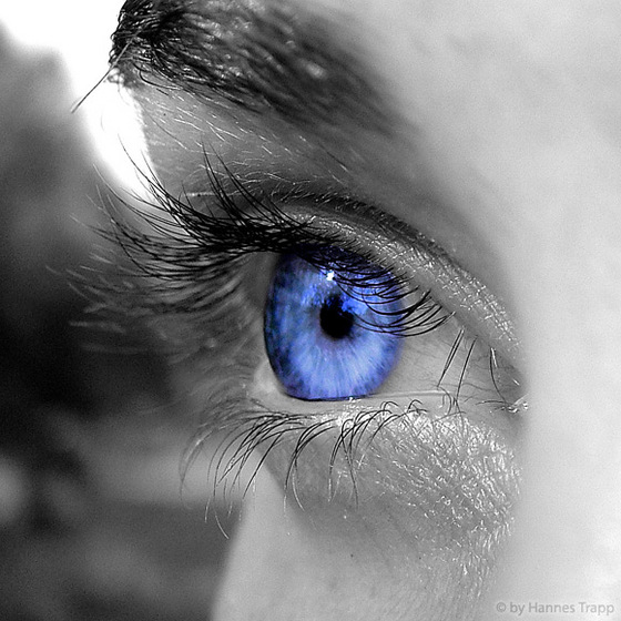 PELLEGRINI NEL TEMPO Beati i puri