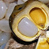 Potensi Buah Kolang-kaling untuk Kesehatan Tulang dan Sendi