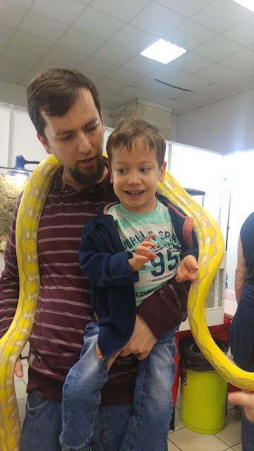 wąż wystawa zwierząt 