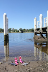 Barbitars & Sharks 1 Shoalhaven River