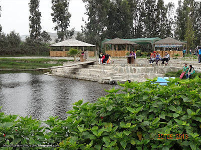 Los Mangales - Centro Recreacional