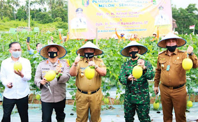 Resmikan Hortipark, Gubernur Arinal Panen Melon di Pesawaran