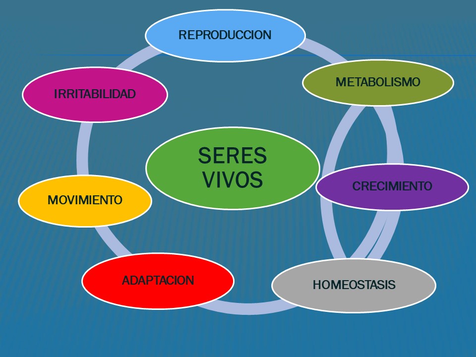 Biologia Caracteristicas De Los Seres Vivos Images Porn Sex Picture