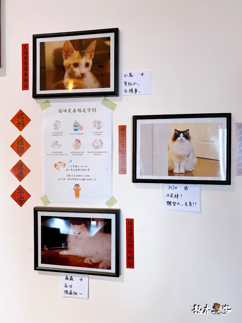 陽明山秘境景觀咖啡廳「山上聊」cafe森林系下午茶