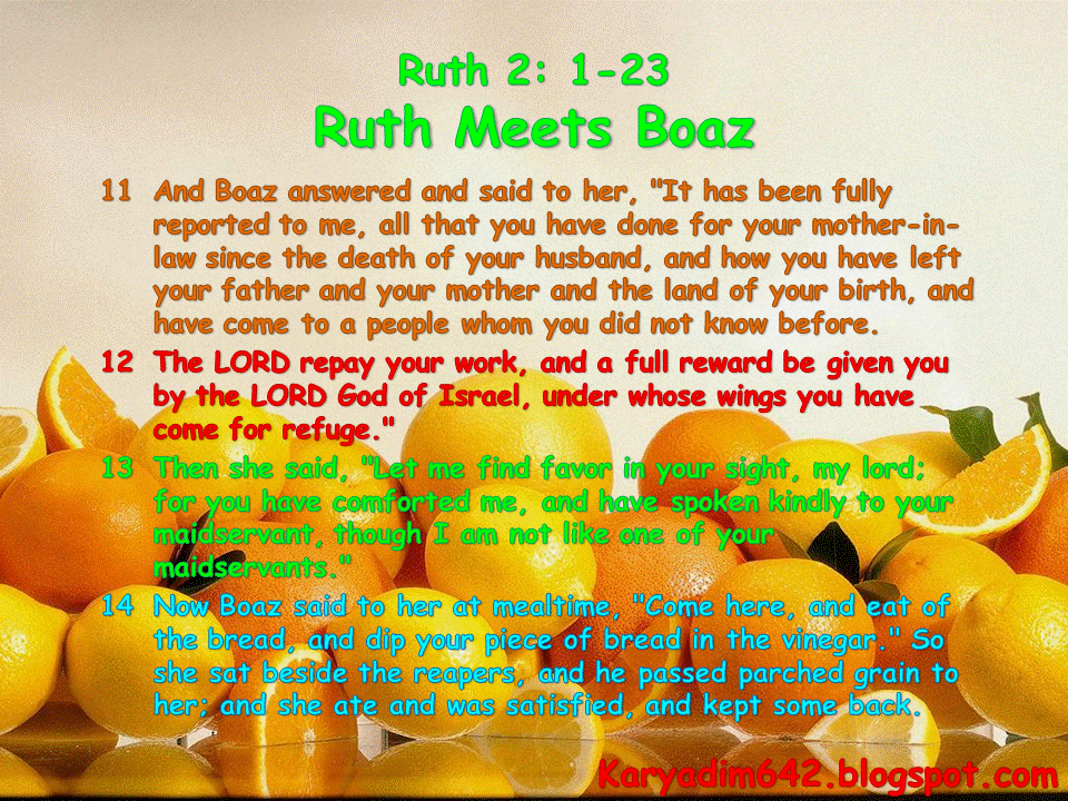 Ruth 2: 1-23 , Ruth Meets Boaz.