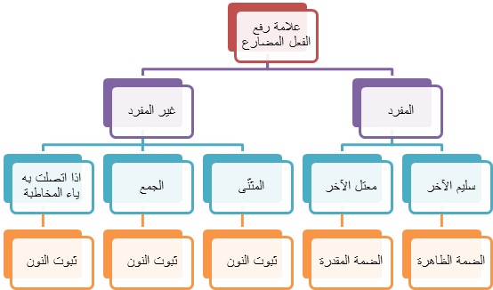 يكون الفاعل ... حرفًا اسمًا فعلا مضارعًا فعلا ماضيًا