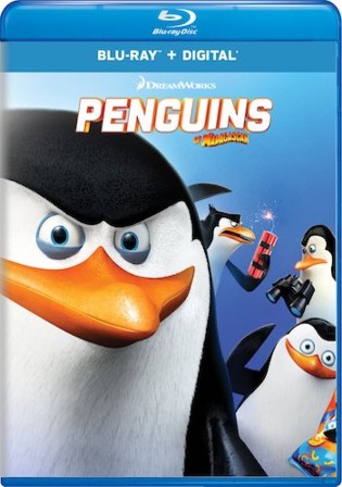 Penguins of Madagascar 2014 BluRay 300MB Hindi Dual Audio 480p