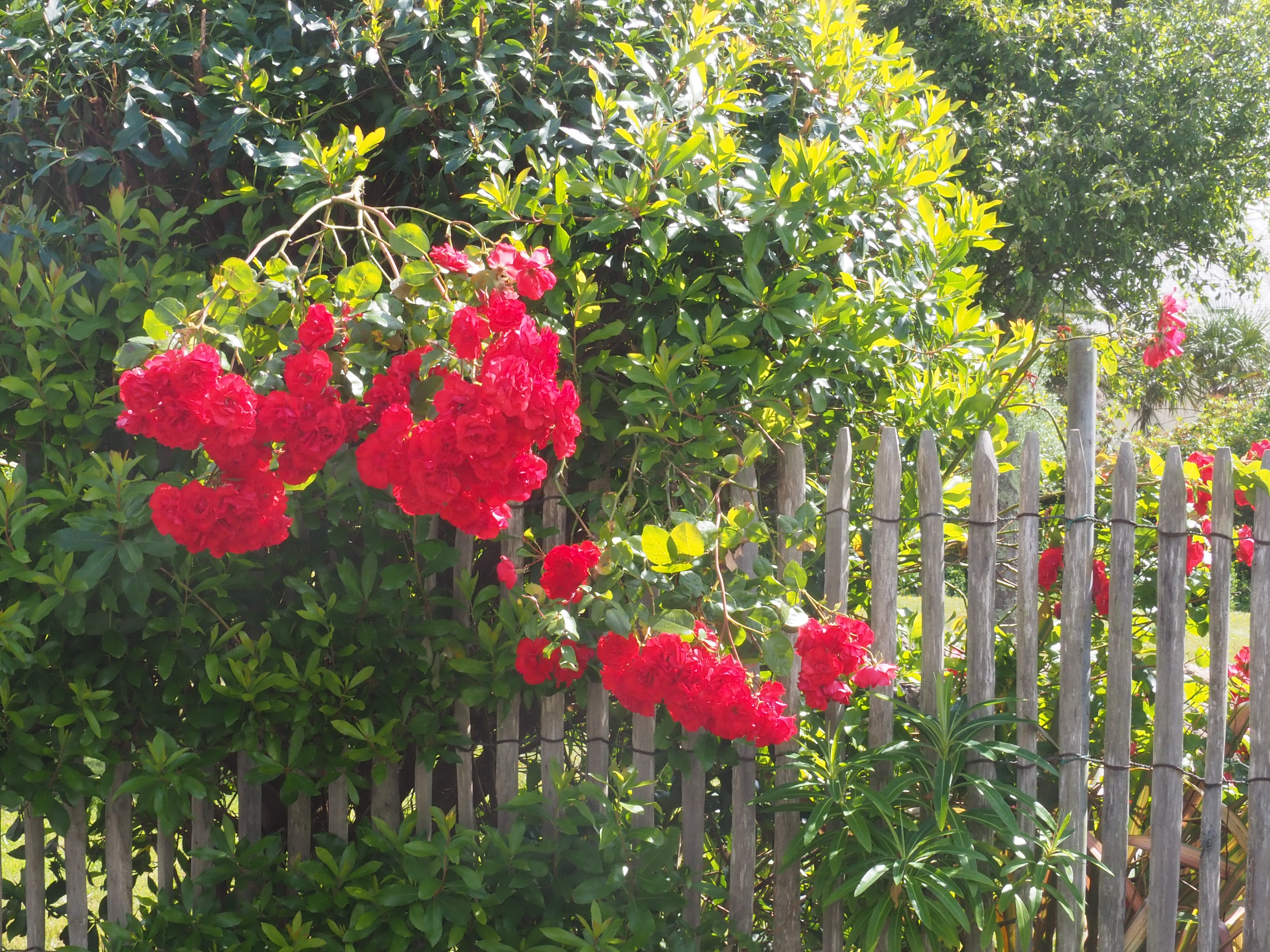 2 Dedos de Conversa Rade de Brest