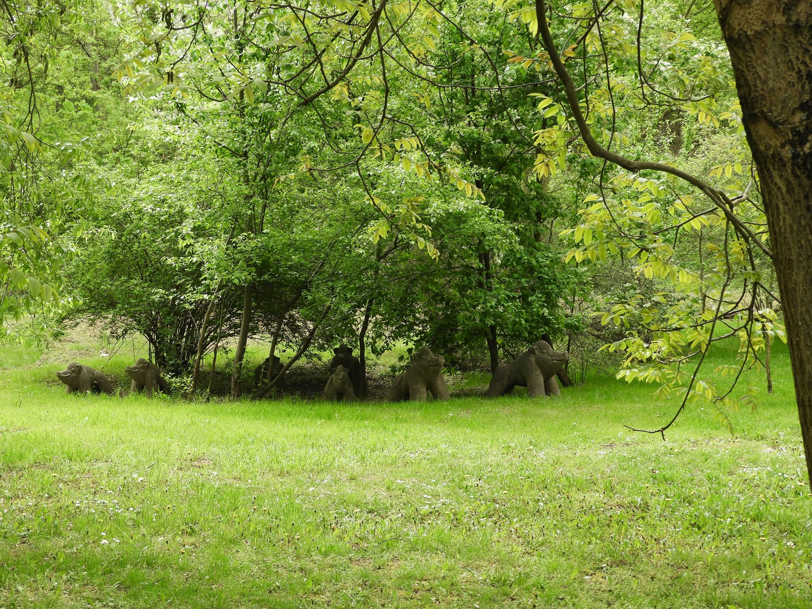 Von Menschen Und Baumen Wildschweine Im Garten