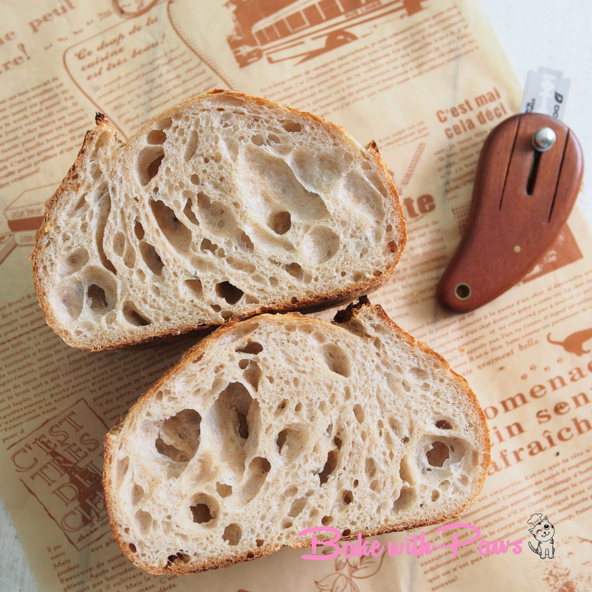 Basic Open Crumb Sourdough Bread (High Hydration) BAKE WITH PAWS