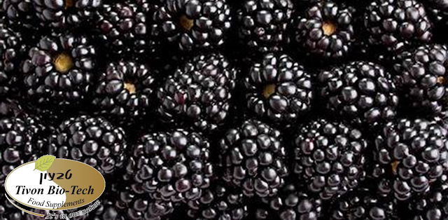 פרי פטל שחור