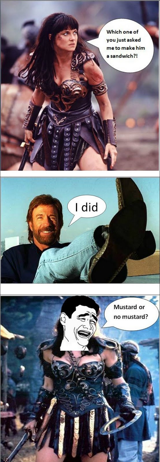Xena - Which One Of You Just Asked Me To Make Him A Sandwich? - Chuck Norris