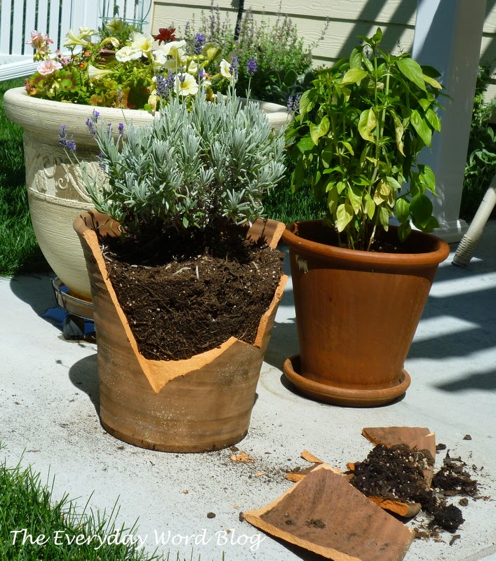 The Everyday Word Broken Clay Pots