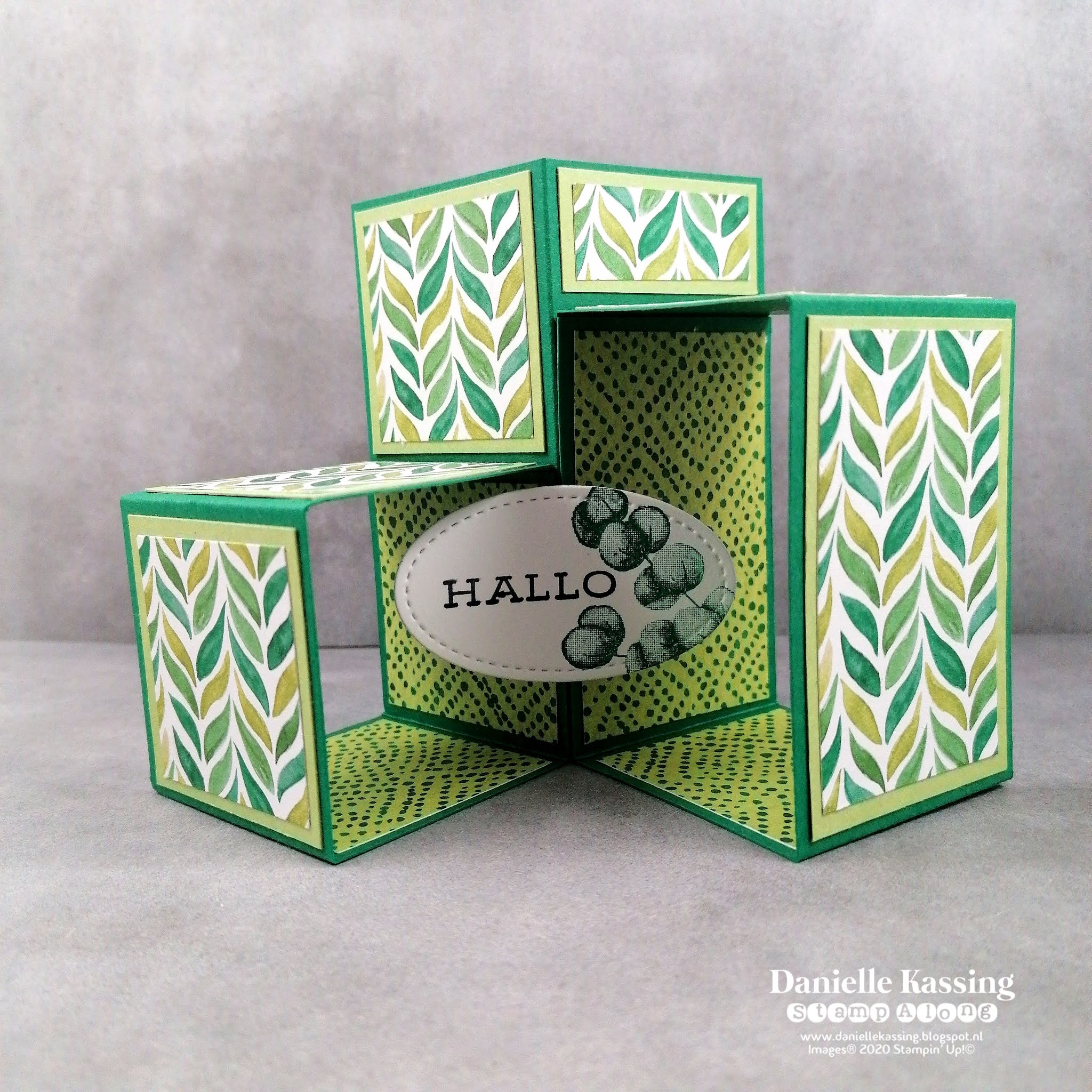 Danielle Kassing Stamp Along Stampin' Up! 3D Cube Pop Up Box Card