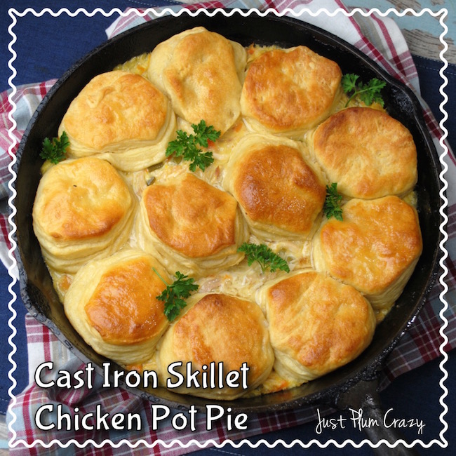 Cast Iron Skillet Chicken Pot Pie Recipe! Yumm Cooking