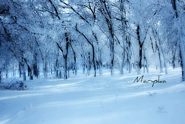 Photo | Maruska Kolesnikova