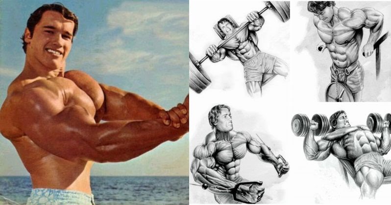 6 Day Arnold Schwarzenegger Chest Workout Routine for Push Pull Legs