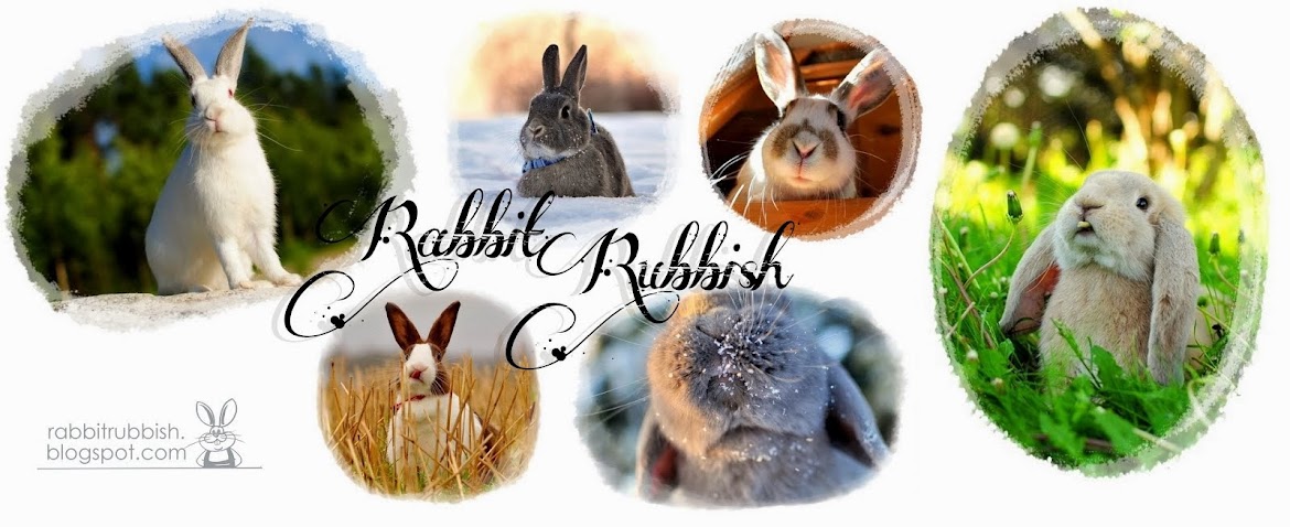 rabbit rubbish