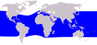 Pürüzlü dişli yunus doğal yaşam alanı haritası