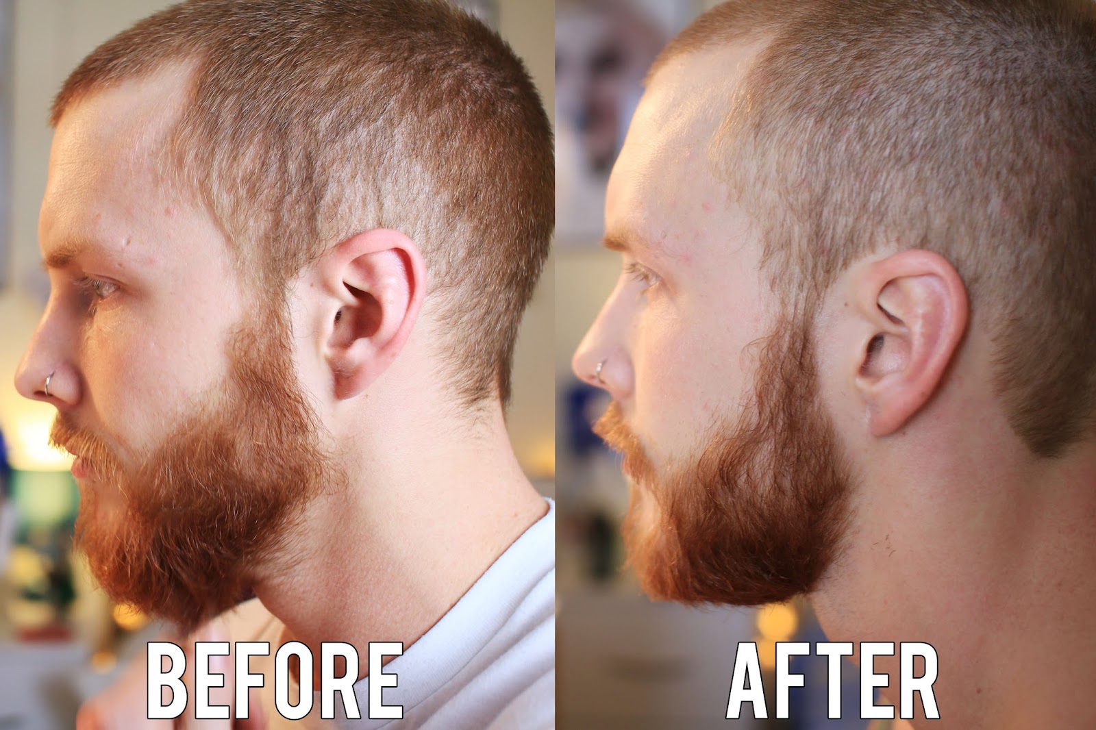 Best Beard Care Products for the Bearded Male Inthefrow