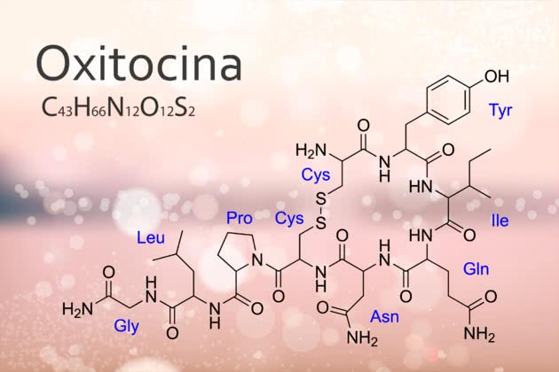 Resultado de imagen de oxitocina