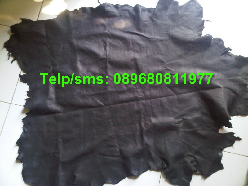 Jual Kulit Domba Jual Kulit kambing Jual kulit Kambing