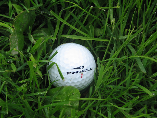 golf ball in the rough