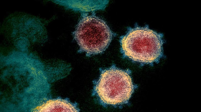 Expertos descubren posible “talón de Aquiles” de nuevo coronavirus