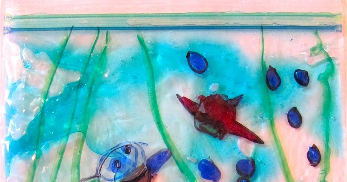 The Chocolate Muffin Tree: Plastic Bag Aquarium