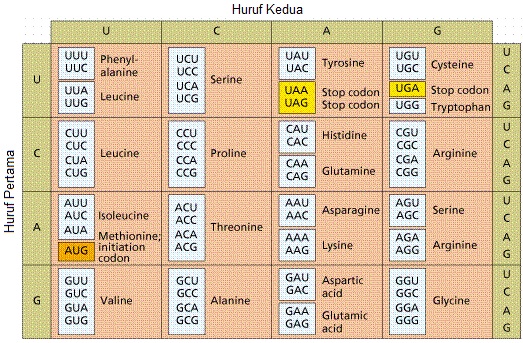 Soal Latihan Substansi 1