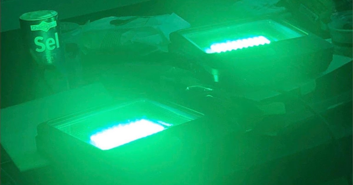 Groene LED verlichting, B SmartTrade