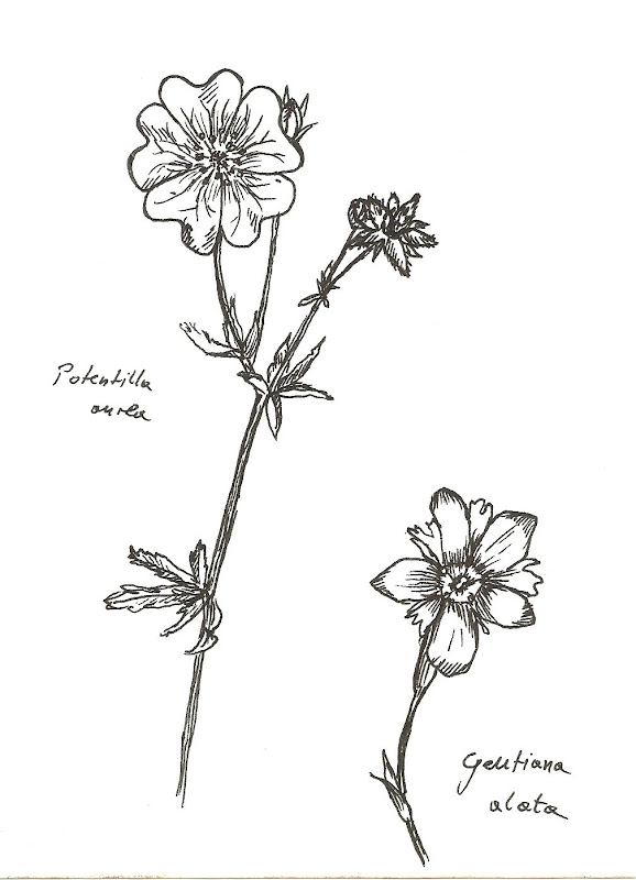 Wycieczki w chaosie: lipca 2012