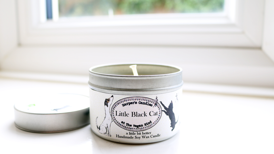 Foodie Friday The Vegan Kind Box Taste Test review October 2017