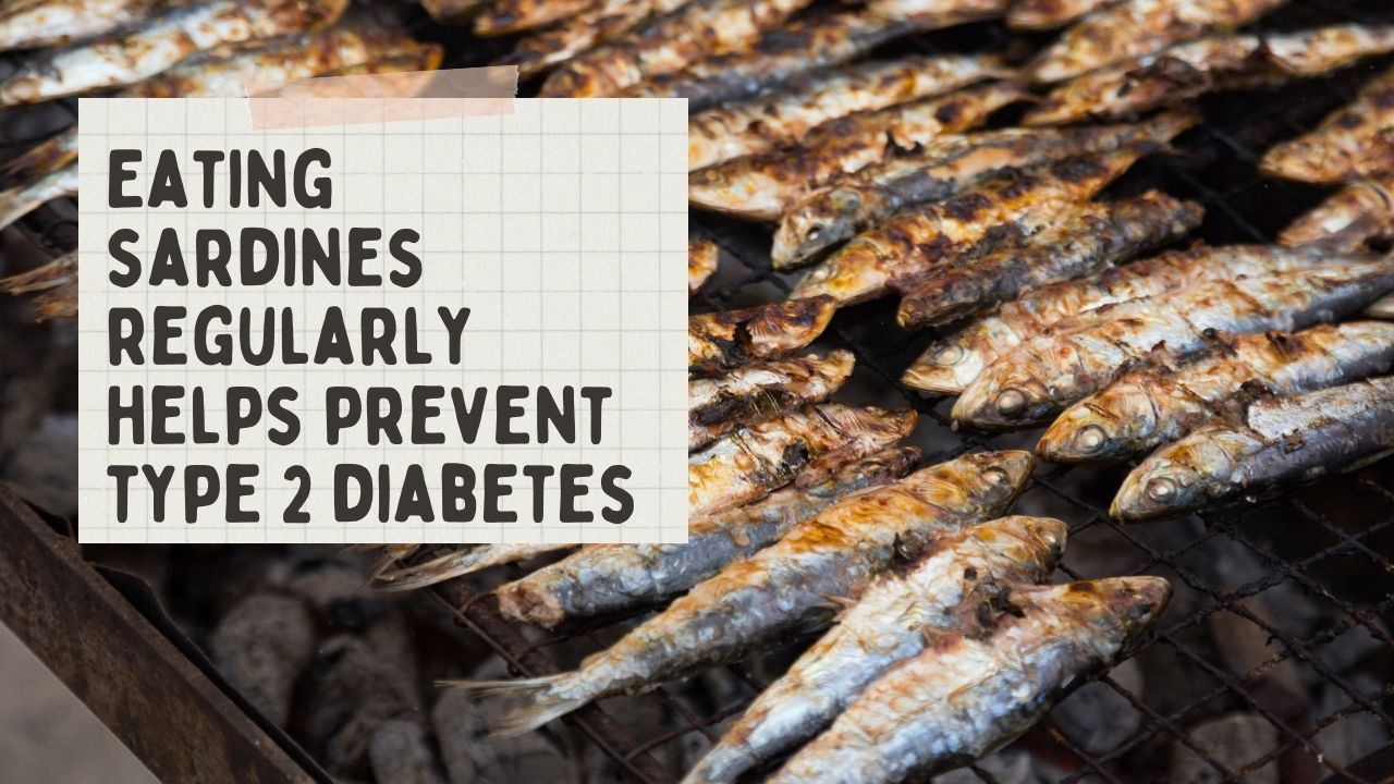 Everyone Loves Sardines But No One Knows The Genuine Benefits