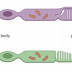  রড ও কোন কোষের কার্যপ্রণালী - Photoreceptors : Rod and cone cells and their mechanism