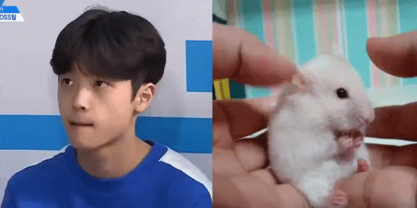 얼굴은 찐애기인데 실력은 그렇지 않은 프듀X 연습생 | 인스티즈