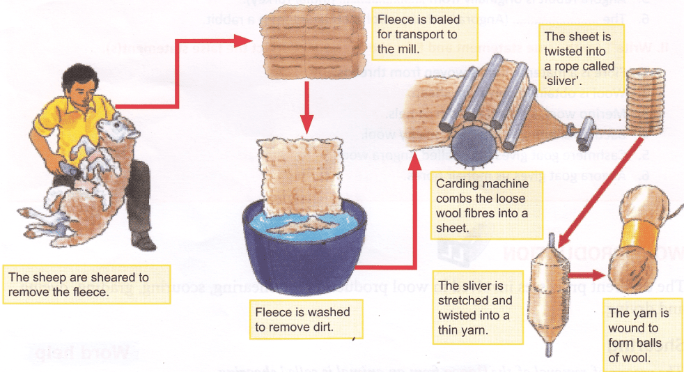 Wool | Manufacturing Process of Wool